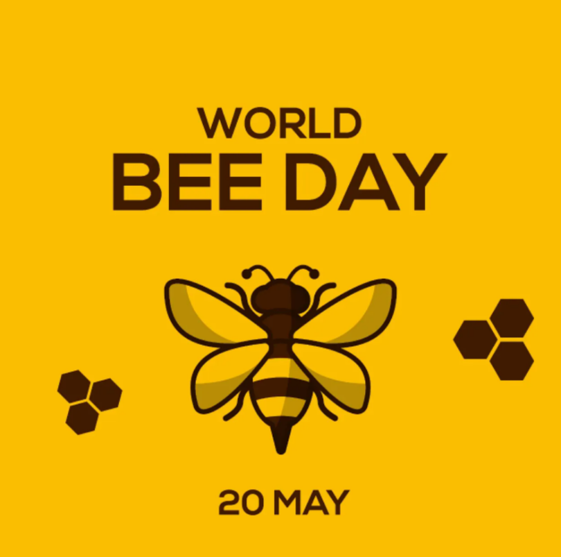 WORLD BEE DAY