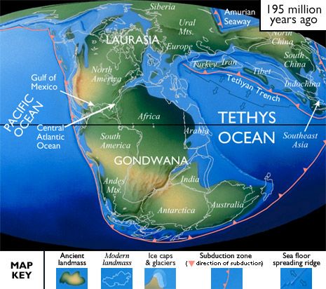 TETHYS SEA | IAS GYAN