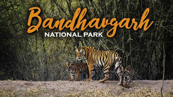 BANDHAVGARH FOREST RESERVE | IAS GYAN